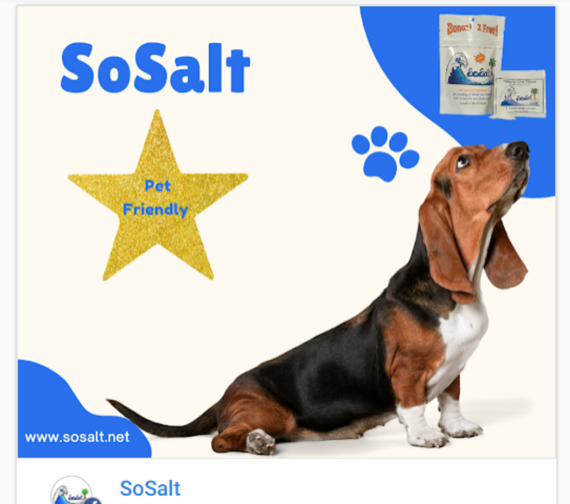SoSaltPet2